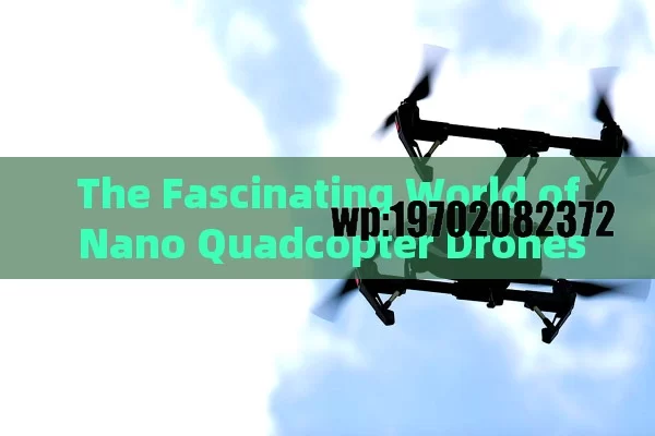 The Fascinating World of Nano Quadcopter Drones in the USA