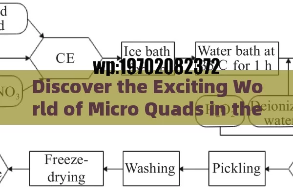 Discover the Exciting World of Micro Quads in the US